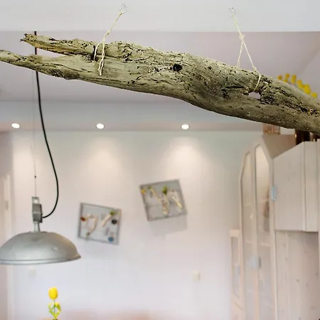 Ton Suenhus בית נופש